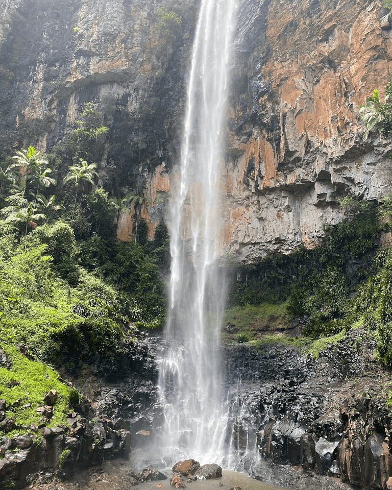 Purling brook falls in Springbook National park