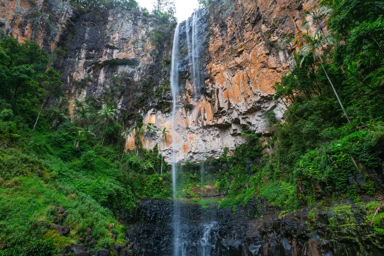 Purling Brook Falls, Springbrook National Park