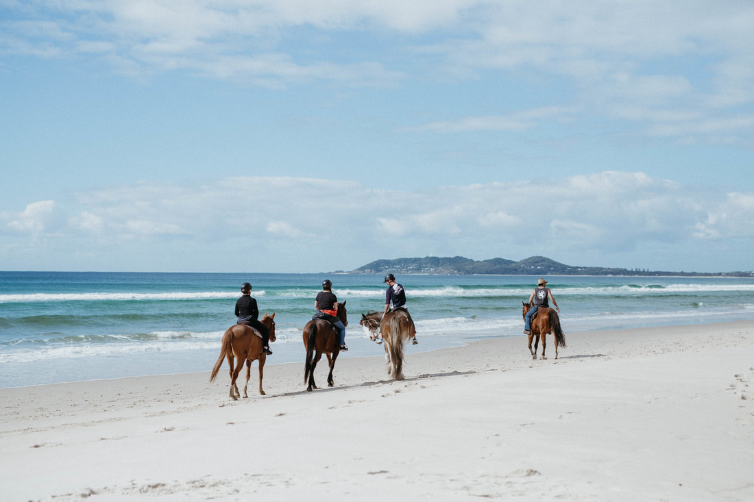 Zephyr Horse Trails on the beach
